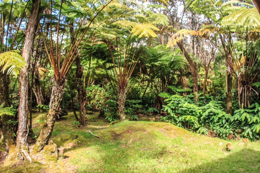 Volcano Village Lodge Phòng bức ảnh